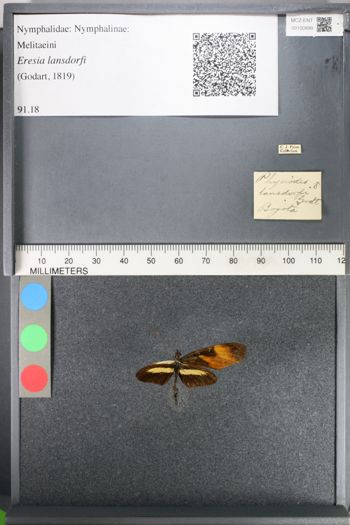 Media type: image;   Entomology 100899